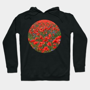 A Meadow of Red Poppies Hoodie